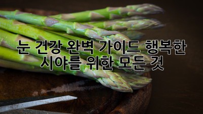 눈 건강 완벽 가이드: 행복한 시야를 위한 모든 것