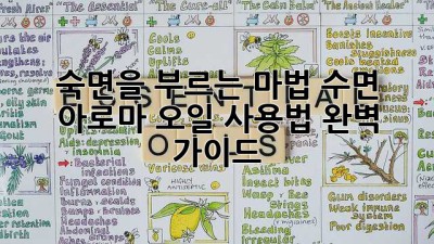 숙면을 부르는 마법! 수면 아로마 오일 사용법 완벽 가이드 ✨