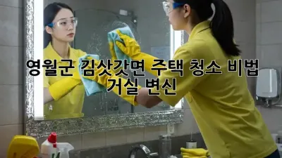 영월군 김삿갓면🏡 주택 청소 비법: 거실 변신✨